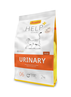 HELP URINARY CAT