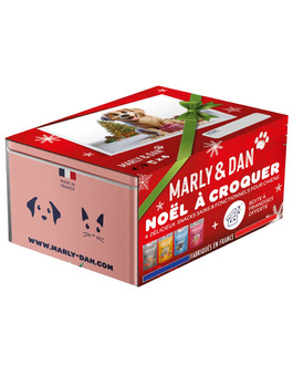 COFFRET DE NOEL FRIANDISES CHIEN