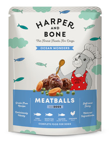 Image produit MEATBALLS OCEAN WONDERS (CHIEN)